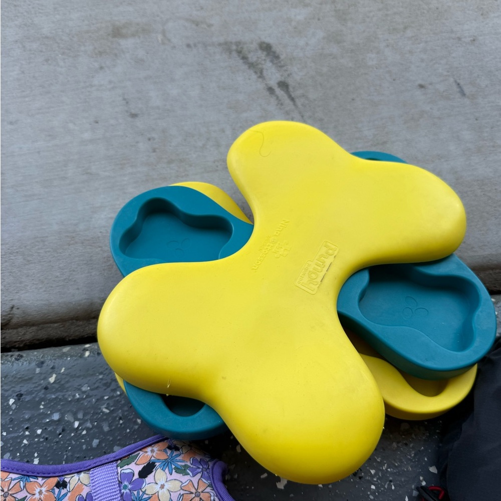 Colorful Dog Apparel Collection - Picture 9 of 9